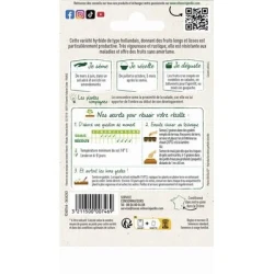 Concombre GYNIAL HF1 - VILMORIN