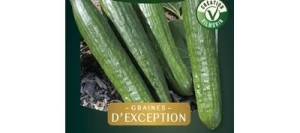 Concombre GYNIAL HF1 - VILMORIN