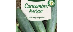 Concombre Marketer - VILMORIN