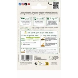 Concombre Marketer - VILMORIN