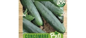Concombre MARKETMORE 76 BIO - VILMORIN