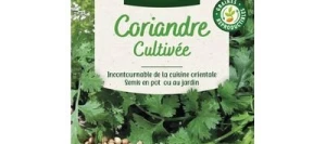Coriandre Cultivée - VILMORIN