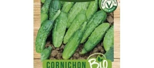 Cornichon HOKUS BIO - VILMORIN