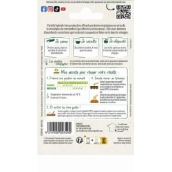 Cornichon PARIGYNO HF1 - VILMORIN