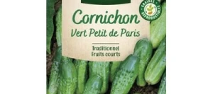 Cornichon VERT PETIT DE PARIS - VILMORIN