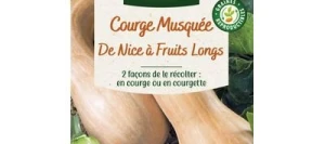 Courge Musquée DE NICE À FRUITS LONGS - VILMORIN