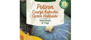 Potiron (courge Kabocha) GREEN HOKKAÏDO - VILMORIN