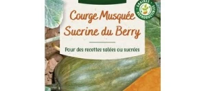 Courge Musquée SUCRINE DU BERRY - VILMORIN