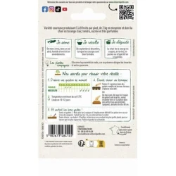 Courge Musquée SUCRINE DU BERRY - VILMORIN