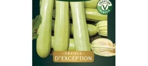 Courgette ADRIELLE HF1 - VILMORIN