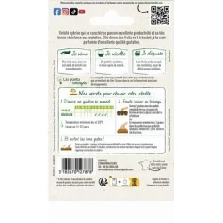 Courgette ADRIELLE HF1 - VILMORIN