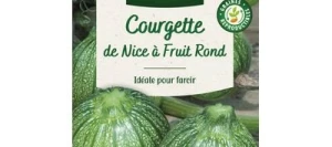 Courgette DE NICE À FRUIT ROND - VILMORIN