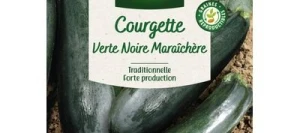 Courgette VERTE NOIRE MARAÎCHÈRE - VILMORIN