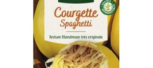 Courge VEGETABLE SPAGHETTI - VILMORIN
