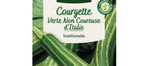 Courgette VERTE NON COUREUSE D'ITALIE - VILMORIN