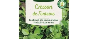 Cresson de Fontaine à Larges Feuilles - VILMORIN