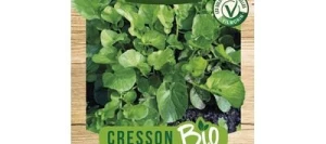 Cresson de Jardin BIO - VILMORIN