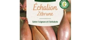 Échalion ZÉBRUNE - VILMORIN