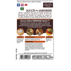 Chicorée Witloof CRÉNOLINE HF1 - Endive- VILMORIN