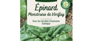 Épinard Monstrueux de VIROFLAY - VILMORIN