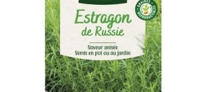 Estragon de Russie - VILMORIN