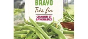 Haricot vert sans fil BRAVO - VILMORIN
