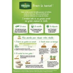 Haricot vert sans fil BRAVO - VILMORIN