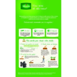 Haricot nain sans fil DELINEL - VILMORIN