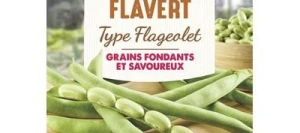 Haricot nain à écosser FLAVERT - VILMORIN