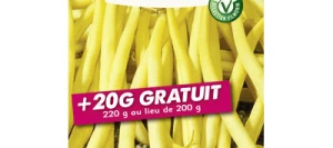 Haricot nain mangetout GOUSSDOR - VILMORIN