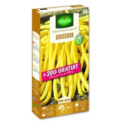 Haricot nain mangetout GOUSSDOR - VILMORIN