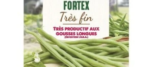 Haricot vert sans fil FORTEX - VILMORIN