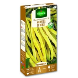 Haricot à rames mangetout MERVEILLE DE VENISE - VILMORIN