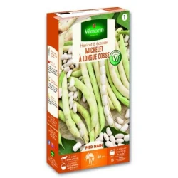 Haricot nain à écosser MICHELET à Longue Cosse - VILMORIN