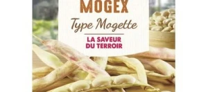 Haricot nain à écosser MOGEX - VILMORIN