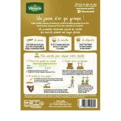 Haricot beurre sans fil MONTEGUSTO - VILMORIN