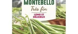 Haricot vert sans fil MONTEBELLO - VILMORIN
