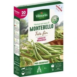Haricot vert sans fil MONTEBELLO - VILMORIN