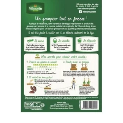 Haricot vert sans fil MONTEBELLO - VILMORIN