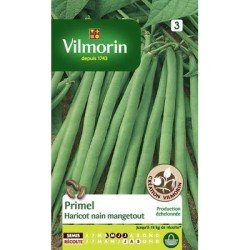 Haricot nain mangetout PRIMEL - VILMORIN