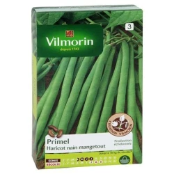 Haricot nain mangetout PRIMEL - VILMORIN