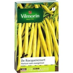 Haricot nain mangetout DE ROCQUENCOURT - VILMORIN