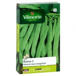 Haricot nain mangetout ROMA 2 - VILMORIN