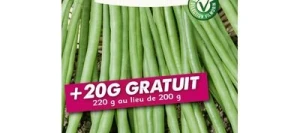 Haricot nain sans fil SKIPPER - VILMORIN