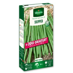 Haricot nain sans fil SKIPPER - VILMORIN