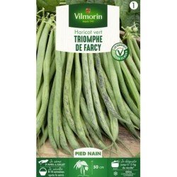 Haricot nain à filets TRIOMPHE DE FARCY - VILMORIN