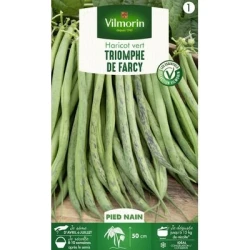 Haricot nain à filets TRIOMPHE DE FARCY - VILMORIN