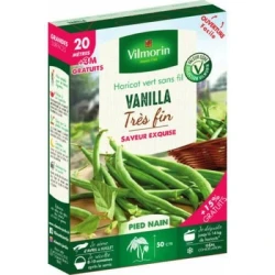 Haricot vert sans fil VANILLA - VILMORIN
