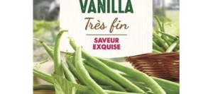 Haricot vert sans fil VANILLA - VILMORIN