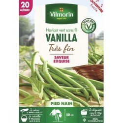 Haricot vert sans fil VANILLA - VILMORIN